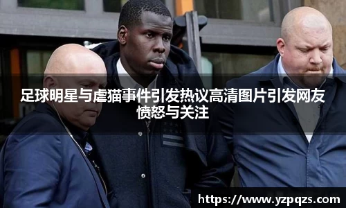 足球明星与虐猫事件引发热议高清图片引发网友愤怒与关注